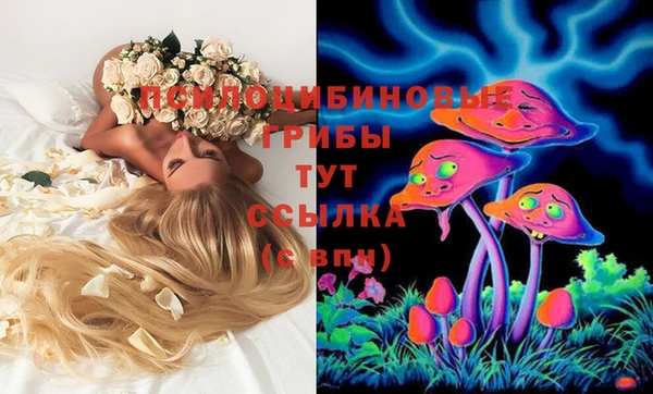 spice Няндома