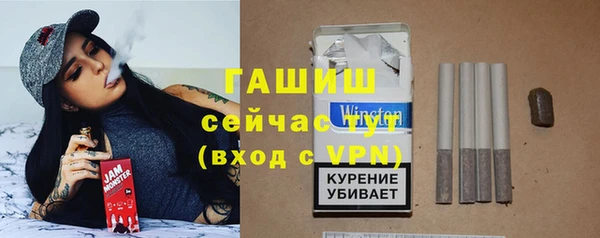 spice Няндома